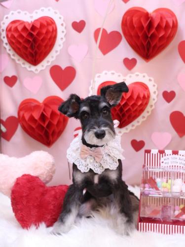 20240212音ちゃん